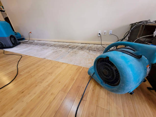 Professional Flood Damage Cleanup technician working in Sylvania, GA